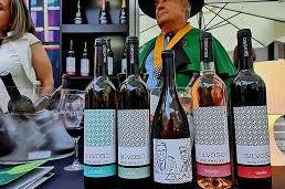 "Quinta de Silvoso" Weine