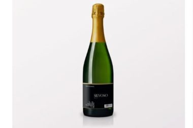 Silvoso brut weißer Sekt